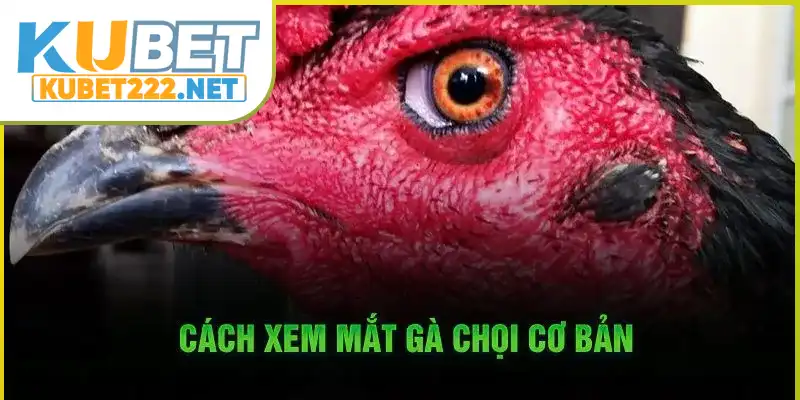 Phương pháp xác định cơ bản Phương pháp xác định cơ bản