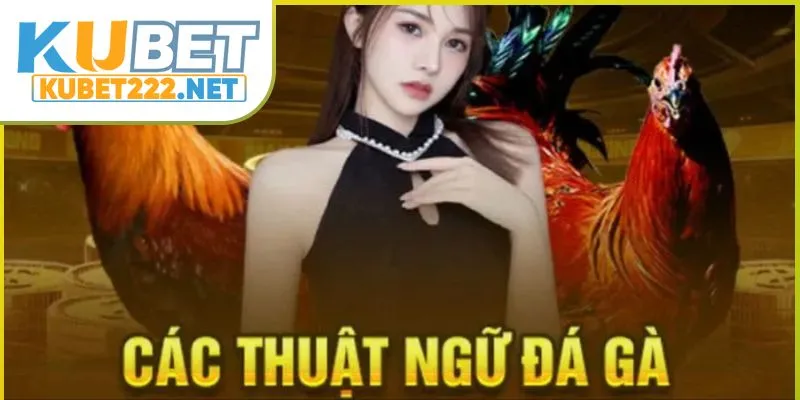 cac-thuat-ngu-trong-da-ga