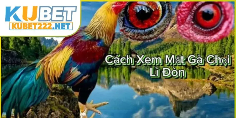 cach-xem-mat-ga-choi
