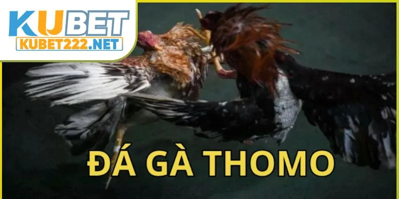 da-ga-thomo