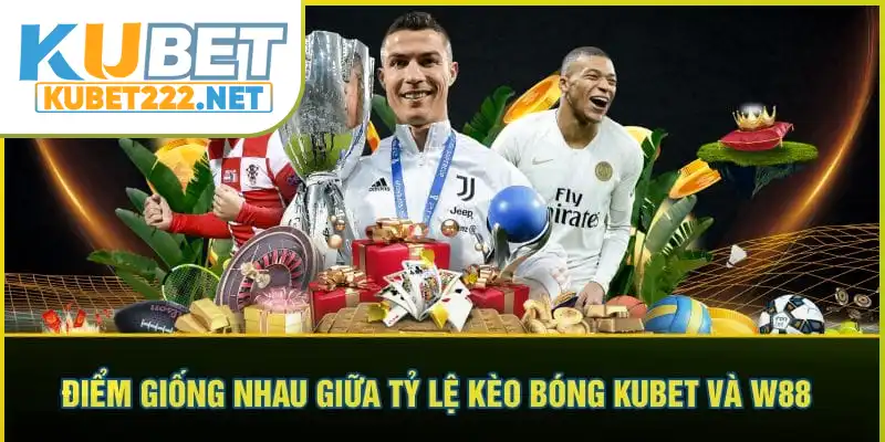 Điểm giống nhau giữa tỷ lệ kèo bóng Kubet và W88 Điểm giống nhau giữa tỷ lệ kèo bóng Kubet và W88