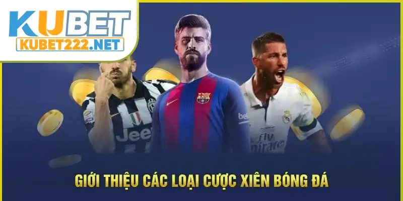 Giới thiệu các loại cược xiên bóng đá Giới thiệu các loại cược xiên bóng đá