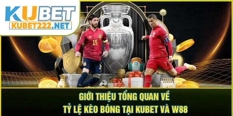 Giới thiệu tổng quan về tỷ lệ kèo bóng tại Kubet và W88 Giới thiệu tổng quan về tỷ lệ kèo bóng tại Kubet và W88