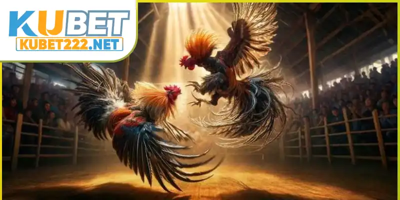 Lưu ý ngay những điểm này khi tham gia Lưu ý ngay những điểm này khi tham gia